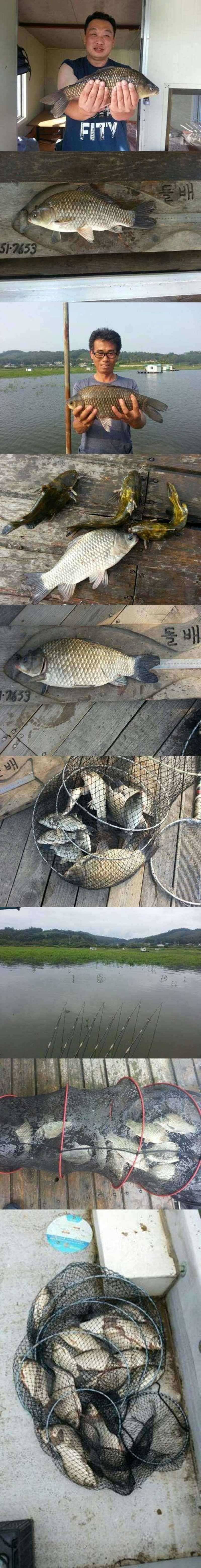 고삼지 새우에 잘 나옵니다 (조황조행기 - 특파원조황)