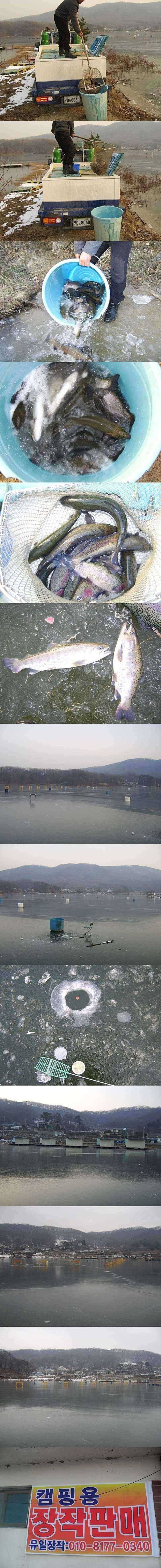 두창지 12월 22일 빙어와 송어낚시 개장 (조황조행기 - 특파원조황)
