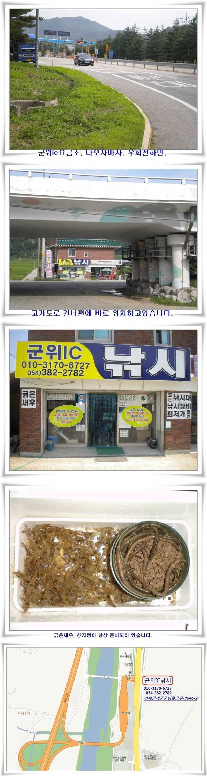 엄청난 대박조황들이 (조황조행기 - 특파원조황)
