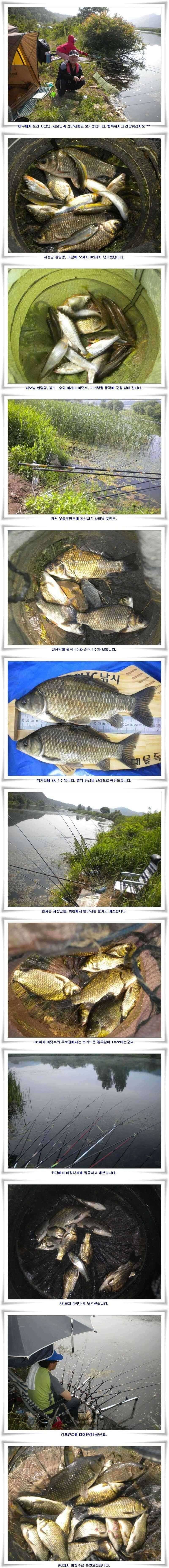 준 월척 마릿수조황 (조황조행기 - 특파원조황)