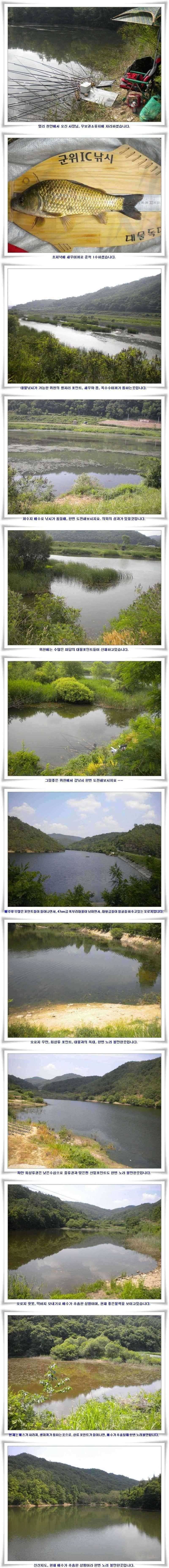 준 월척 마릿수조황 (조황조행기 - 특파원조황)
