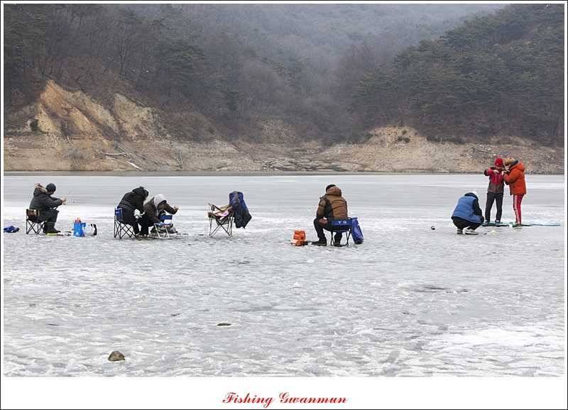 충주괴산권 결빙 상태와 빙어 낚시 (조황조행기 - 특파원조황)