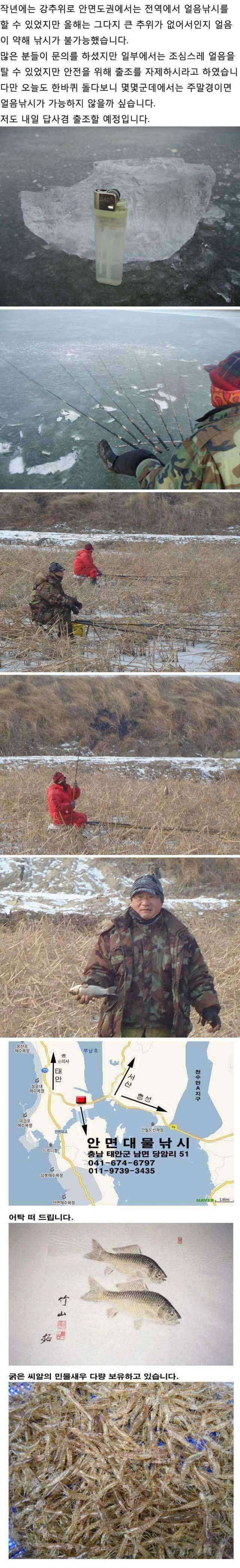 안면도권 저수지 및 수로 얼음낚시 안내 (조황조행기 - 특파원조황)