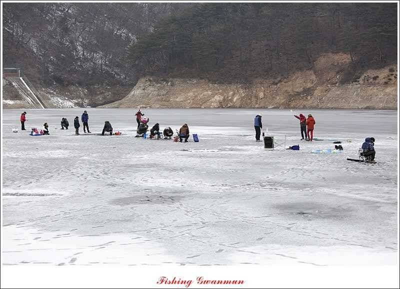 충주괴산권 결빙 상태와 빙어 낚시 (조황조행기 - 특파원조황)