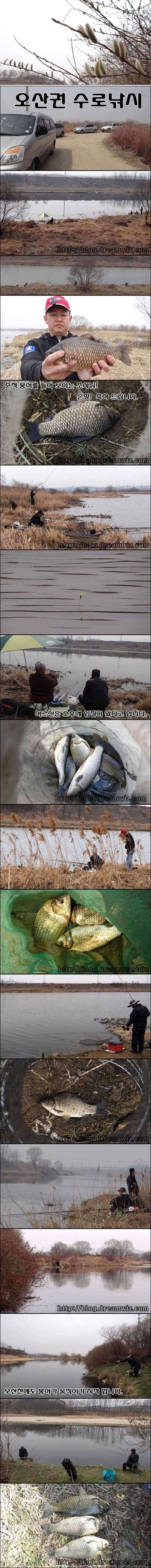 오산천과 진위천 회화리권 (조황조행기 - 특파원조황)