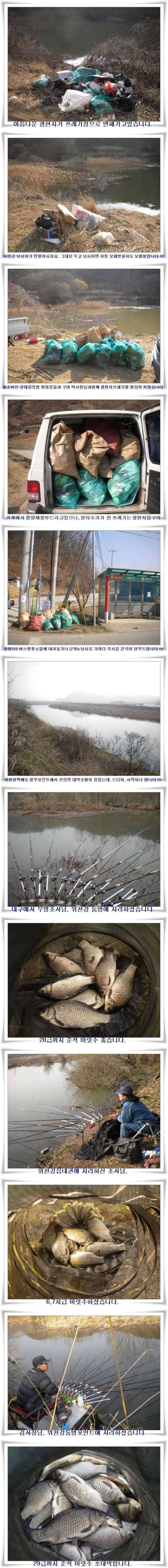 산란임박 호조황 (조황조행기 - 특파원조황)