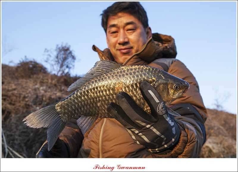 물낚시 월척들 (조황조행기 - 특파원조황)