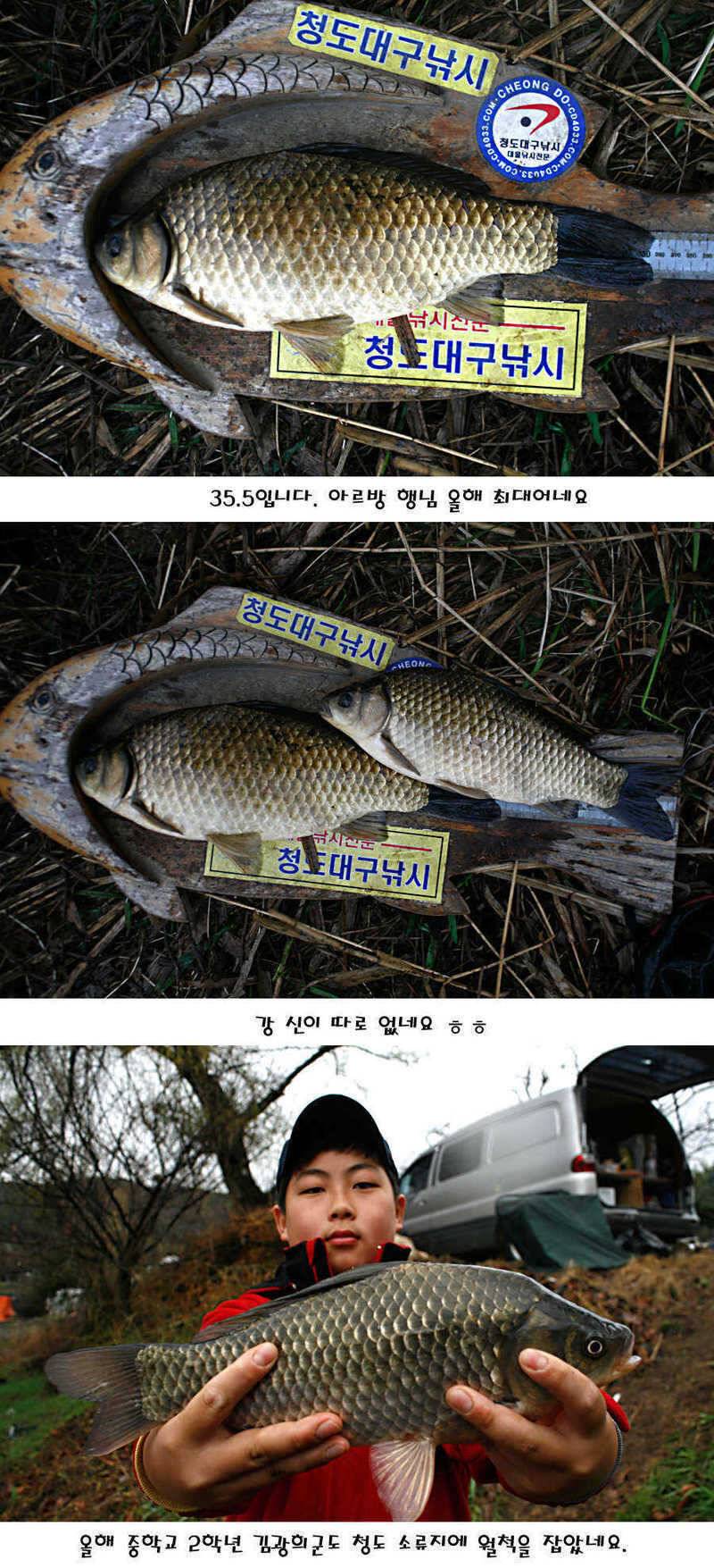 청도권 산란 찬스 발동 (조황조행기 - 특파원조황)
