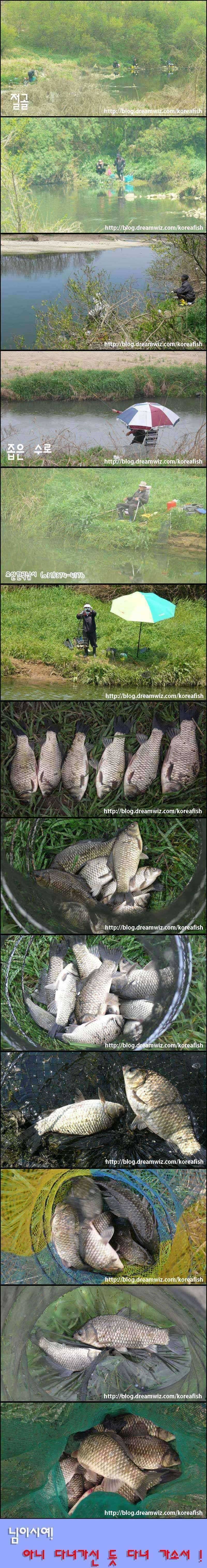 봄을 보내는 오산천 (조황조행기 - 특파원조황)