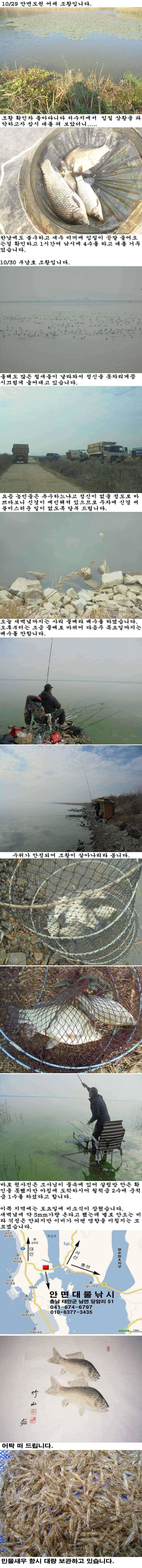 1030 안면도권 저수지 및 부남호 조황 안내 (조황조행기 - 특파원조황)