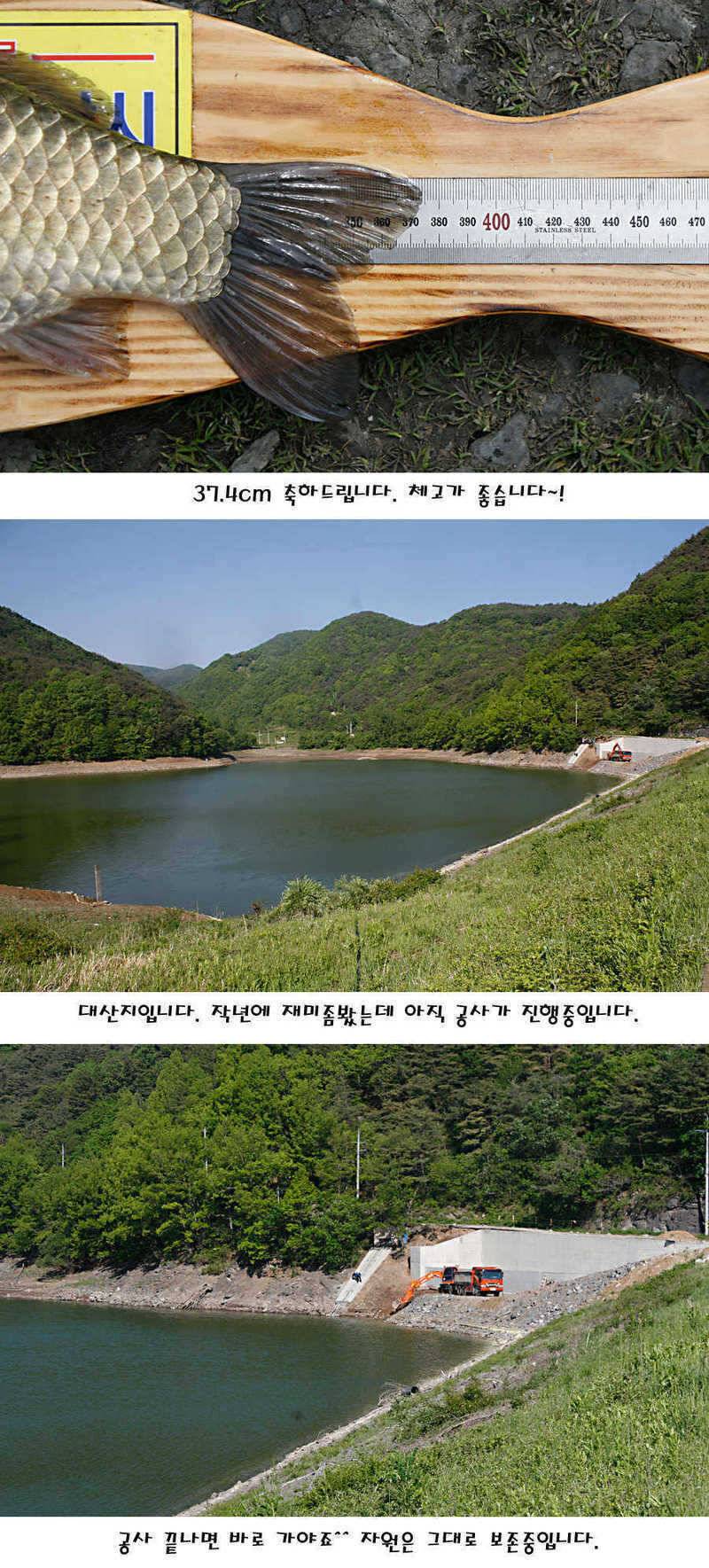 청도권 지난주 조황정보 (조황조행기 - 특파원조황)