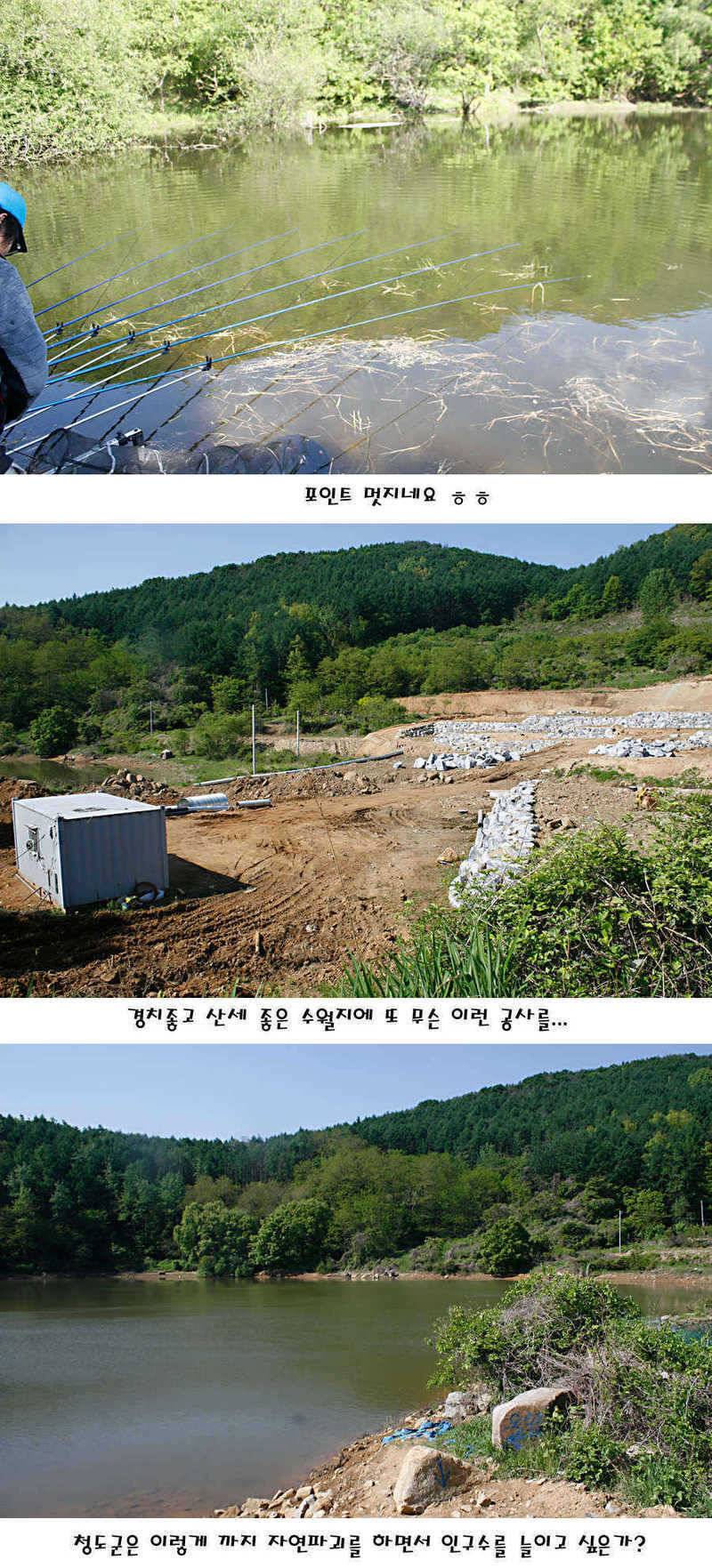 청도권 지난주 조황정보 (조황조행기 - 특파원조황)