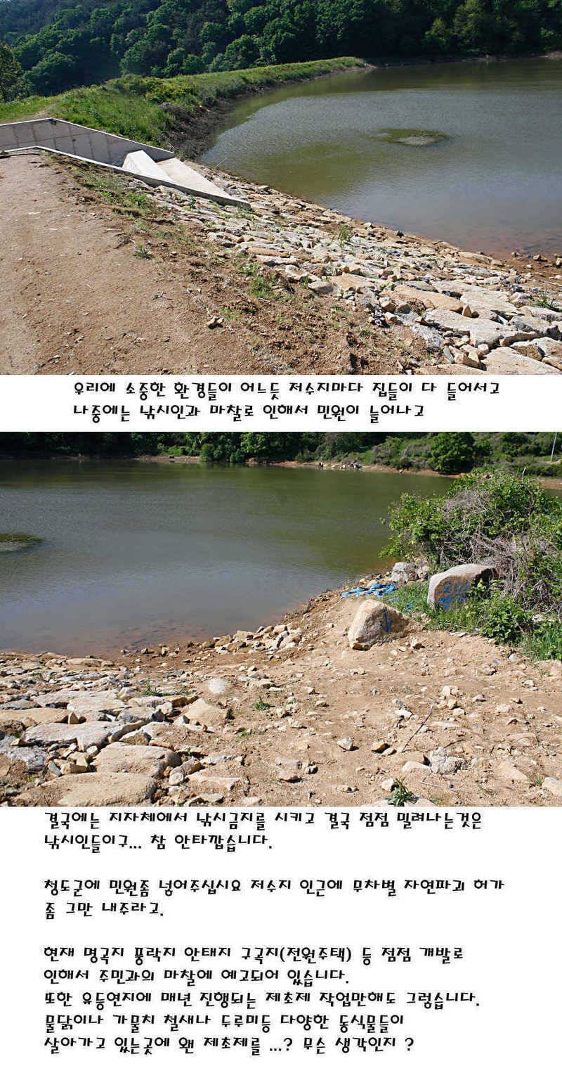 청도권 지난주 조황정보 (조황조행기 - 특파원조황)
