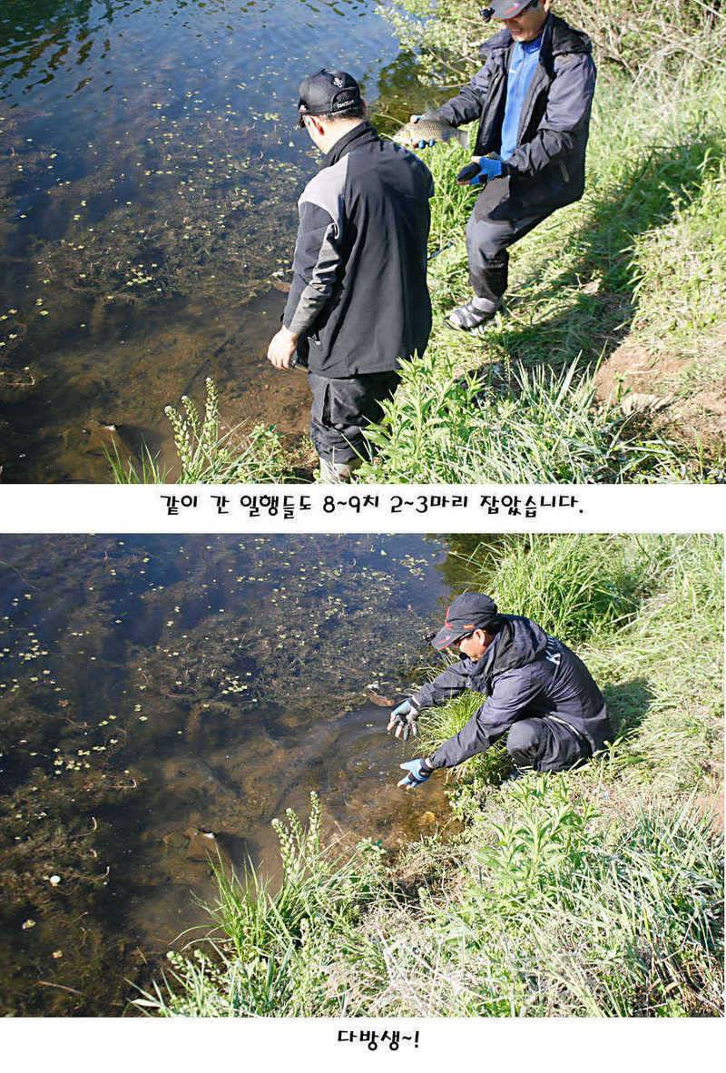 청도권 지난주 조황정보 (조황조행기 - 특파원조황)