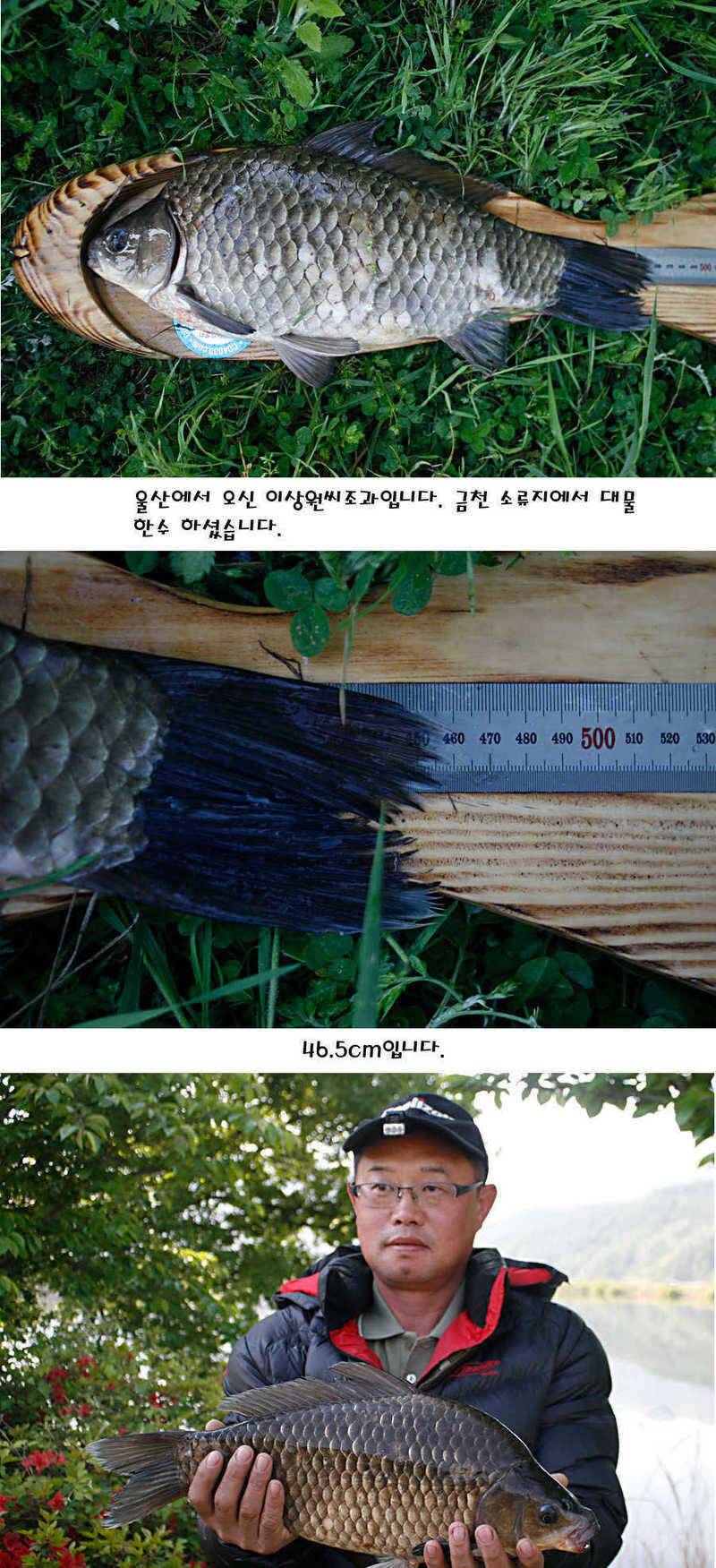 청도권 지난주 조황정보 (조황조행기 - 특파원조황)