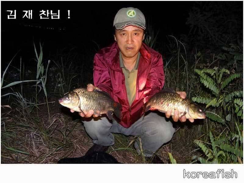 오산천 수로낚시 준 월척만 올라오네요 (조황조행기 - 특파원조황)