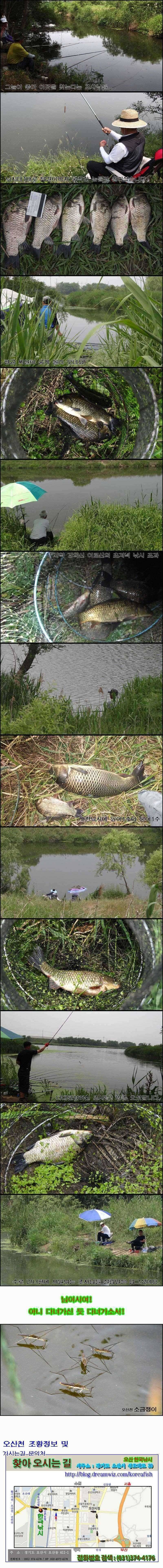오산천 수로낚시 준 월척만 올라오네요 (조황조행기 - 특파원조황)