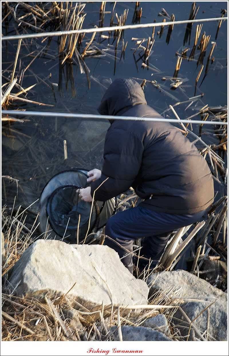 물낚시 월척들 (조황조행기 - 특파원조황)