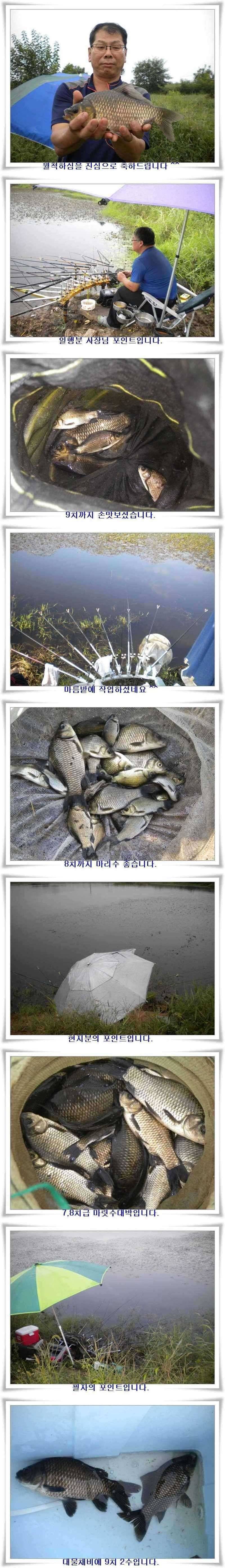 천고어비의 계절 (조황조행기 - 특파원조황)
