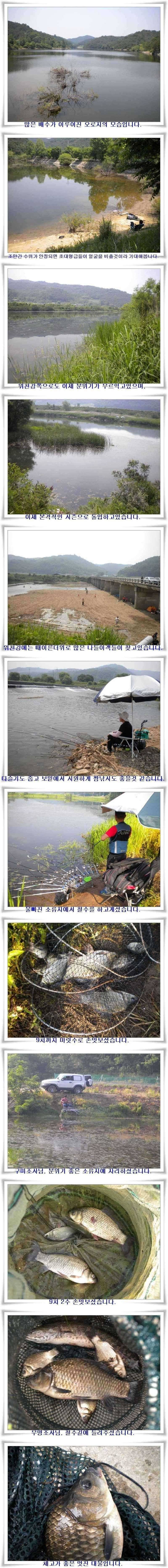 월척과 마릿수조황 (조황조행기 - 특파원조황)