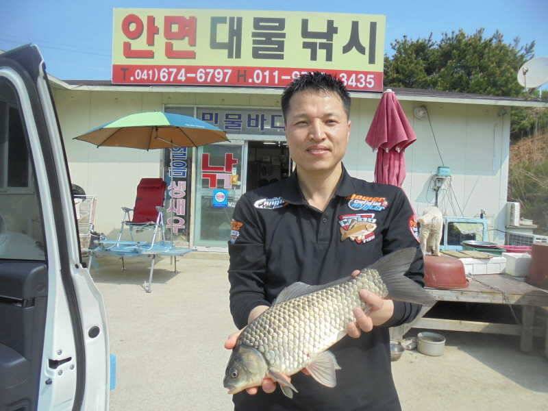 52 부남호 새우 밤낚시 43cm 조황 (조황조행기 - 특파원조황)
