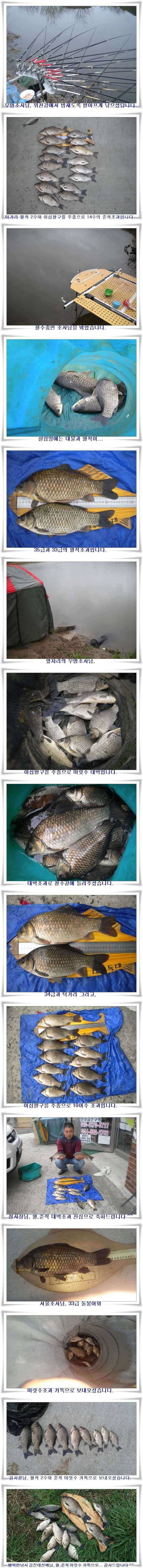 월준척대박과 4짜와 38 (조황조행기 - 특파원조황)