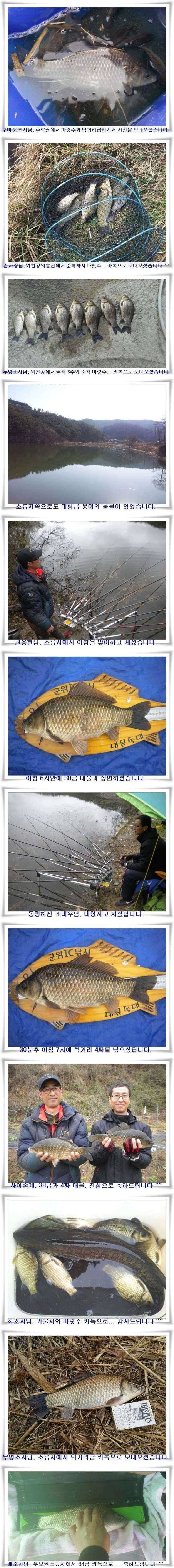 월준척대박과 4짜와 38 (조황조행기 - 특파원조황)