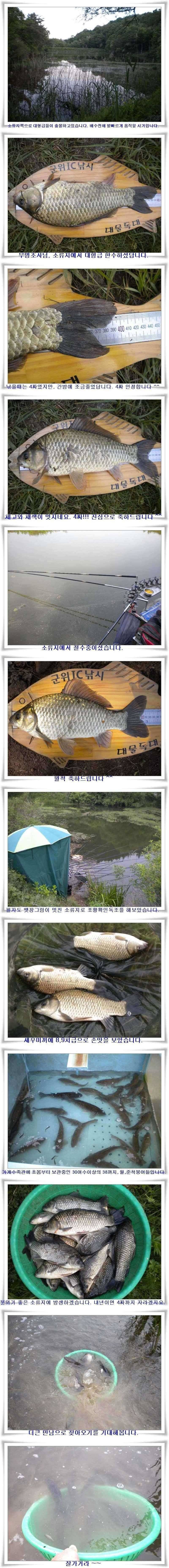 4짜와 대물들의 출몰 (조황조행기 - 특파원조황)