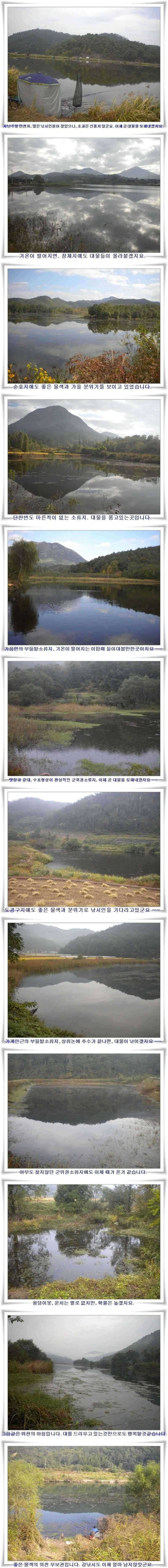 대물의 계절 (조황조행기 - 특파원조황)