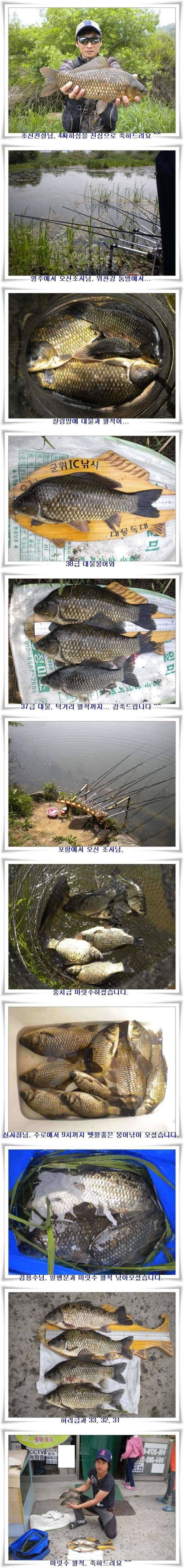 4짜와 대물들의 출몰 (조황조행기 - 특파원조황)