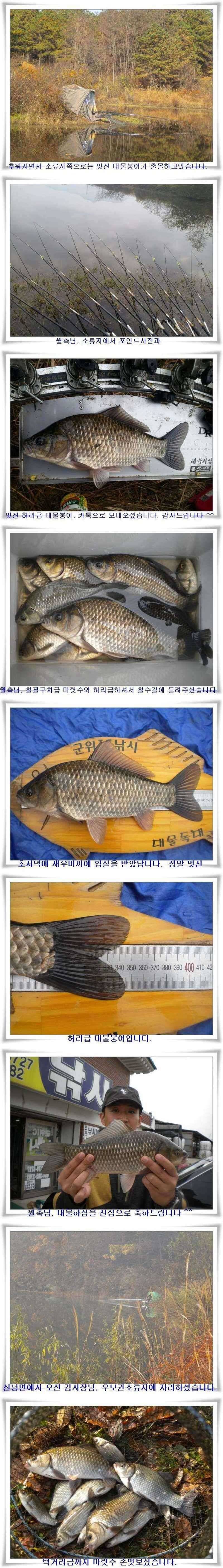 멋진 대물의 출몰 (조황조행기 - 특파원조황)