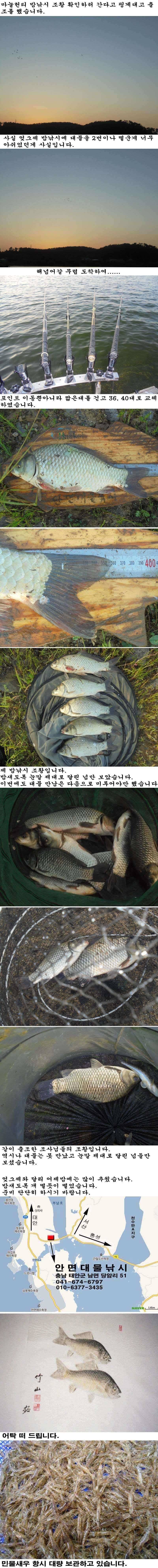 94 부남호 밤낚시 조황 (조황조행기 - 특파원조황)