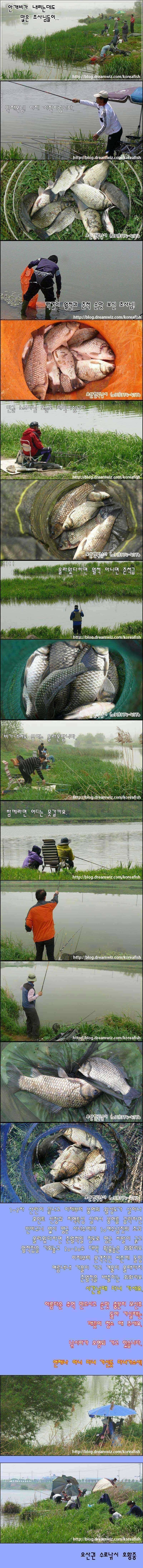대물터 회화리보의 호황소식 (조황조행기 - 특파원조황)