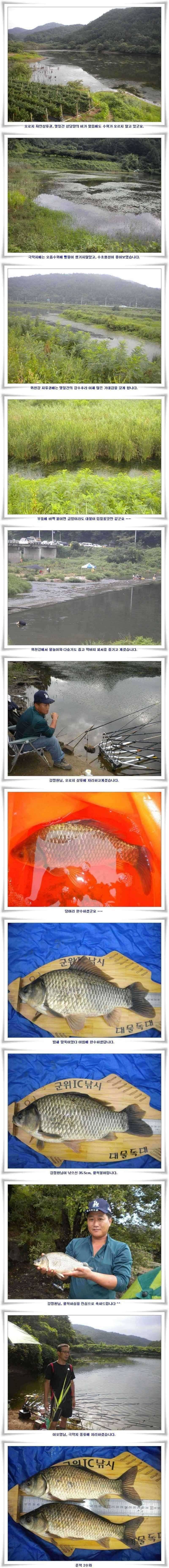 군위권저수지 강조황입니다 (조황조행기 - 특파원조황)