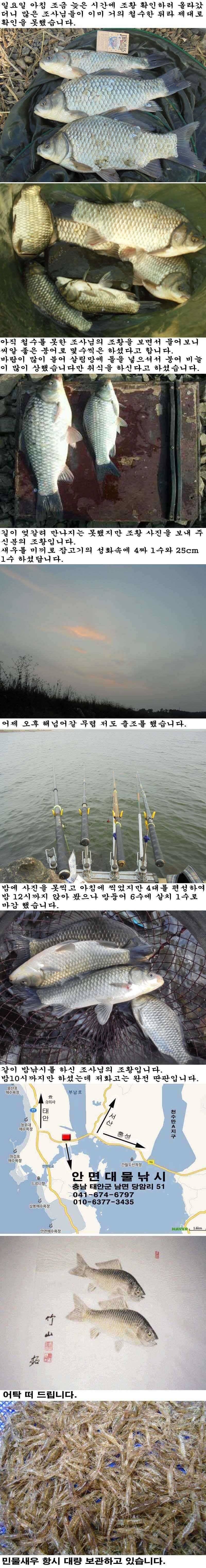 102526 부남호 주말 및 휴일 주중 조황 (조황조행기 - 특파원조황)