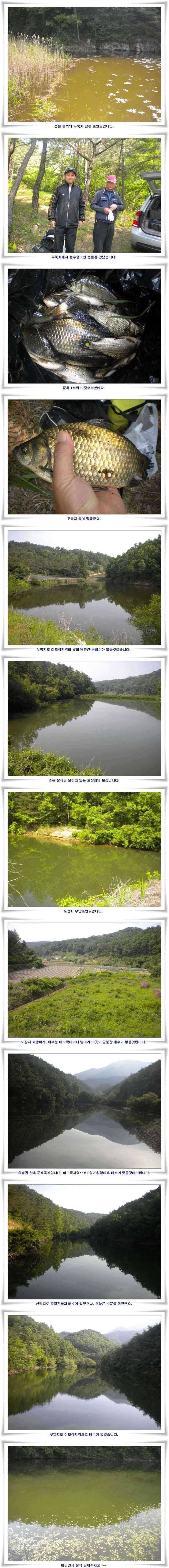 대물조황과 배수없는 소류지들 (조황조행기 - 특파원조황)