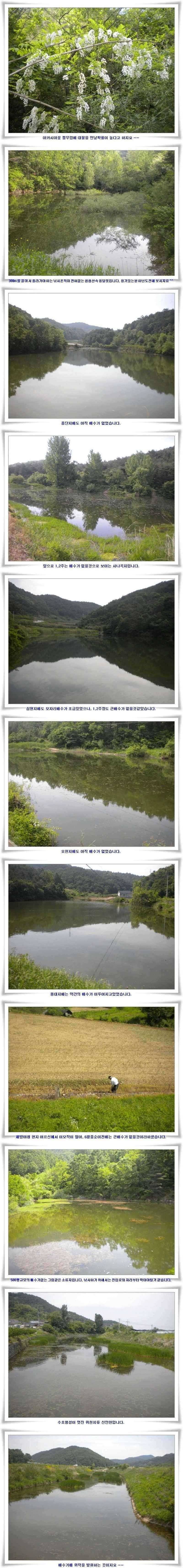 대물조황과 배수없는 소류지들 (조황조행기 - 특파원조황)