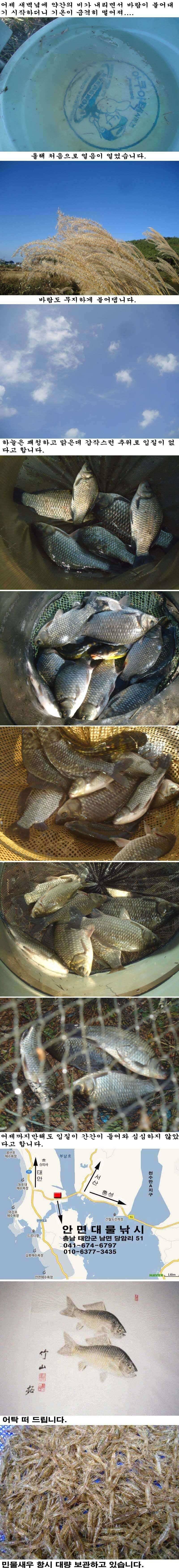 119 안면도권 저수지 첫얼음이 얼었습니다 (조황조행기 - 특파원조황)