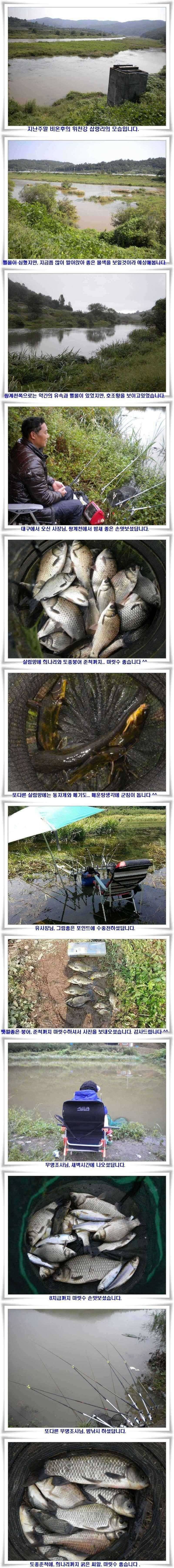 월척과 마릿수조황들 (조황조행기 - 특파원조황)