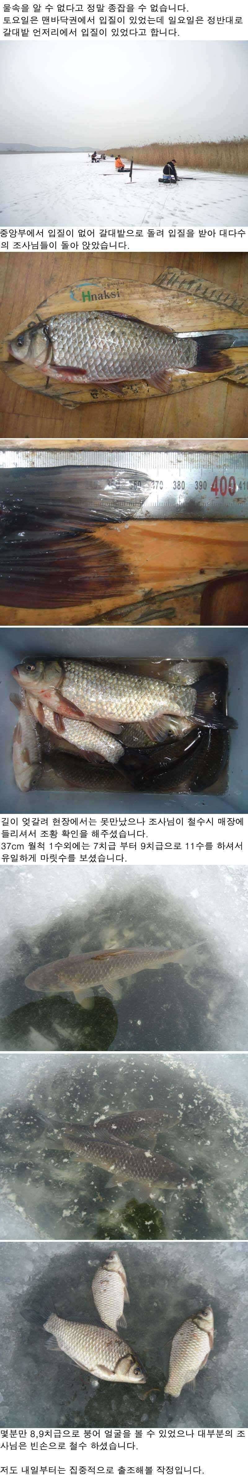 113 완전 붕어맘대로 입니다 (조황조행기 - 특파원조황)