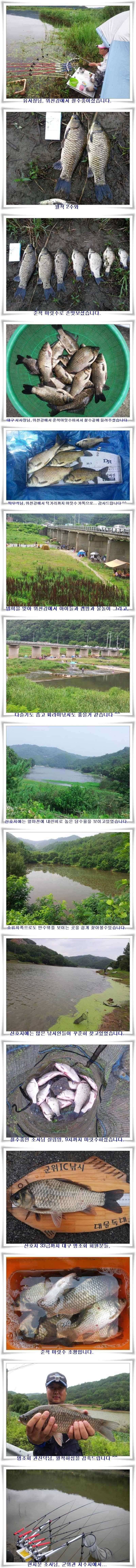 4짜와 생자리소신출조조황들 (조황조행기 - 특파원조황)