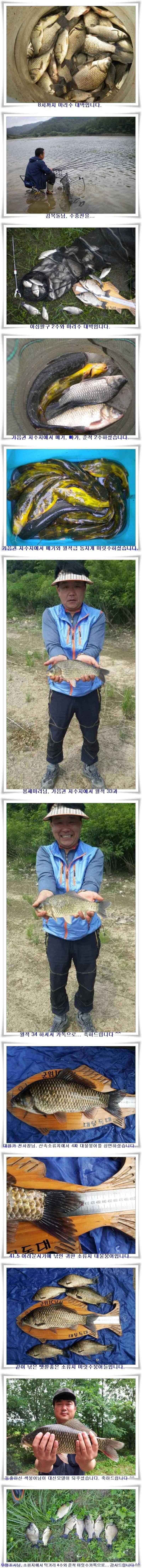 4짜와 생자리소신출조조황들 (조황조행기 - 특파원조황)