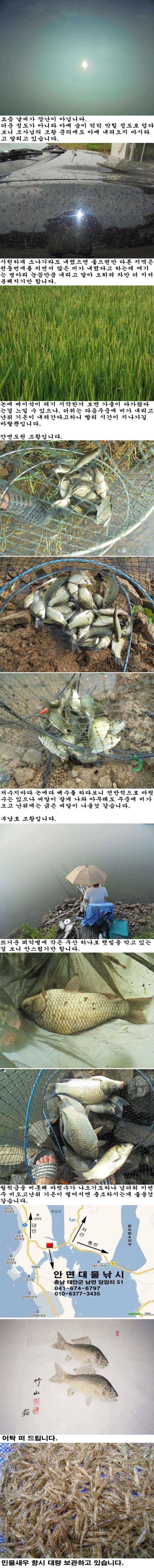 89 안면도권 저수지 및 부남호 주말 조황 (조황조행기 - 특파원조황)