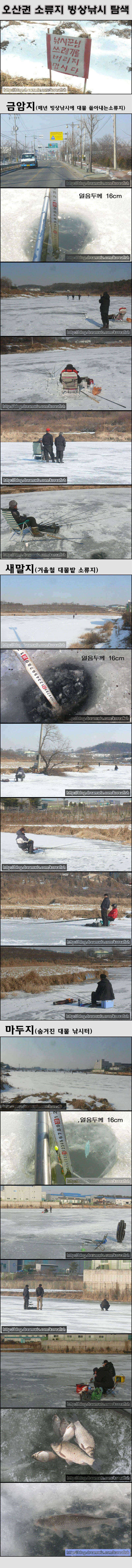 오산권 오산권 중소형 저수지 얼음낚시 시작 (조황조행기 - 특파원조황)