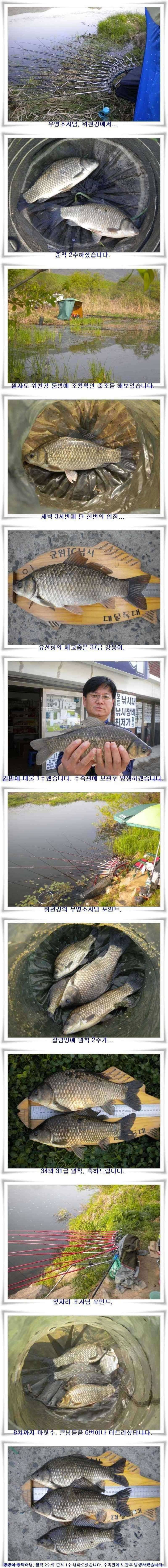 396과 소류지 월척 조황 (조황조행기 - 특파원조황)