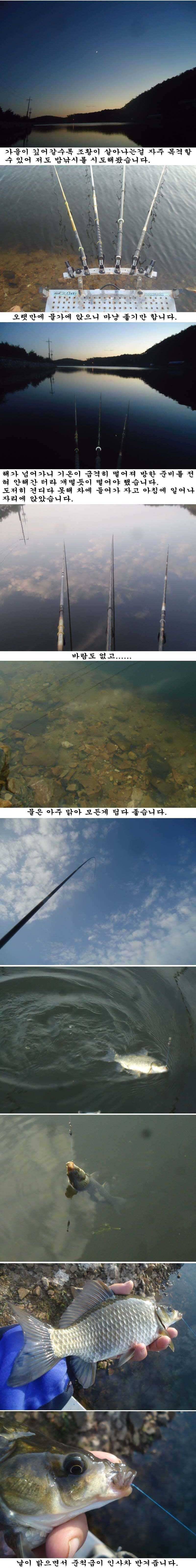 107 안면도권 저수지 밤낚시 조황 (조황조행기 - 특파원조황)