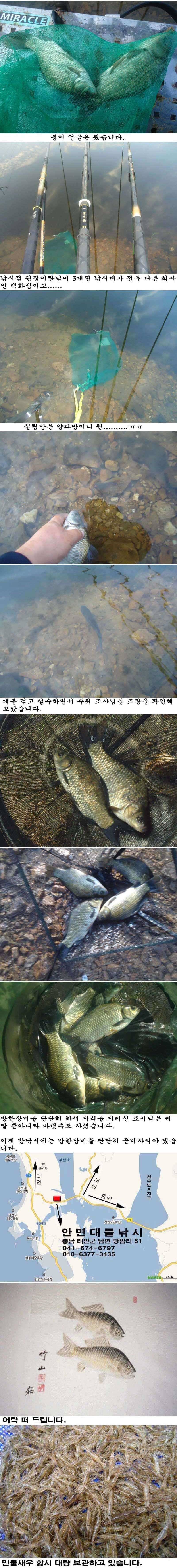 107 안면도권 저수지 밤낚시 조황 (조황조행기 - 특파원조황)