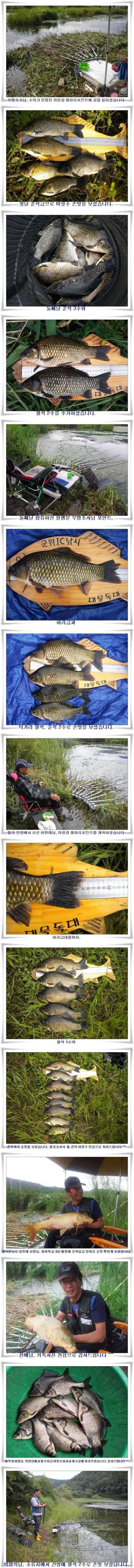 대물과 월준척 마릿수를 (조황조행기 - 특파원조황)
