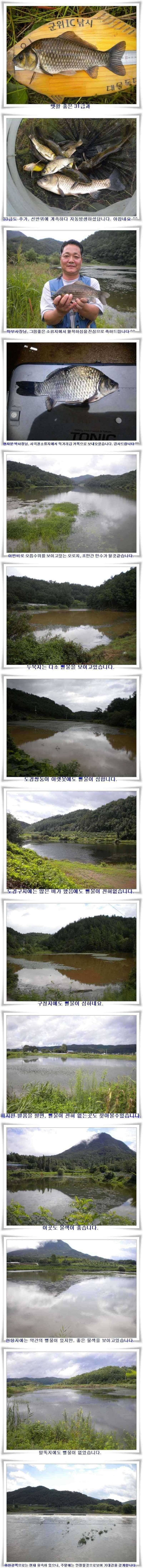 대물과 월준척 마릿수를 (조황조행기 - 특파원조황)