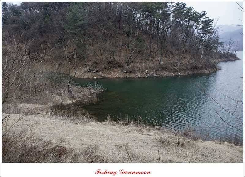 충주괴산권 조황 (조황조행기 - 특파원조황)
